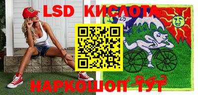 Альфа ПВП Краснознаменск