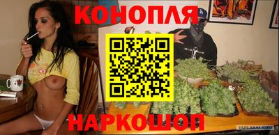 Альфа ПВП Краснознаменск