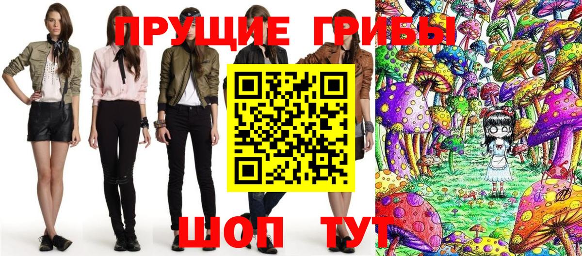 Псилоцибиновые грибы Cubensis Кимры