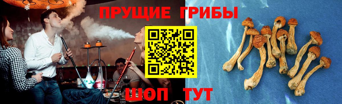 Псилоцибиновые грибы Cubensis  Псилоцибиновые грибы MAGIC MUSHROOMS  Кимры  как найти   Вход с VPN 